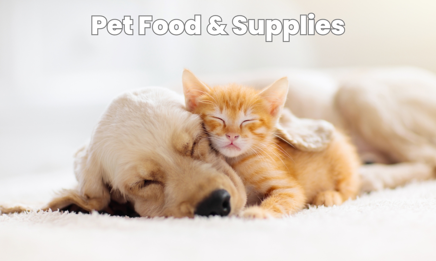 Pet Food & Supplies (1)